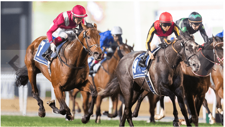 Racehorses during a race.