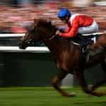 Blurred image of a horse and jockey in full flight.